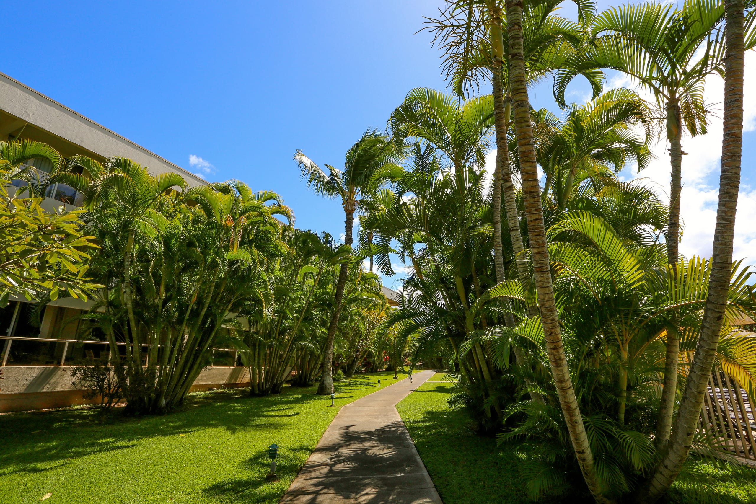 Condo in Kihei · ★4.72 · 3 bedrooms · 5 beds · 3 baths - Image 38
