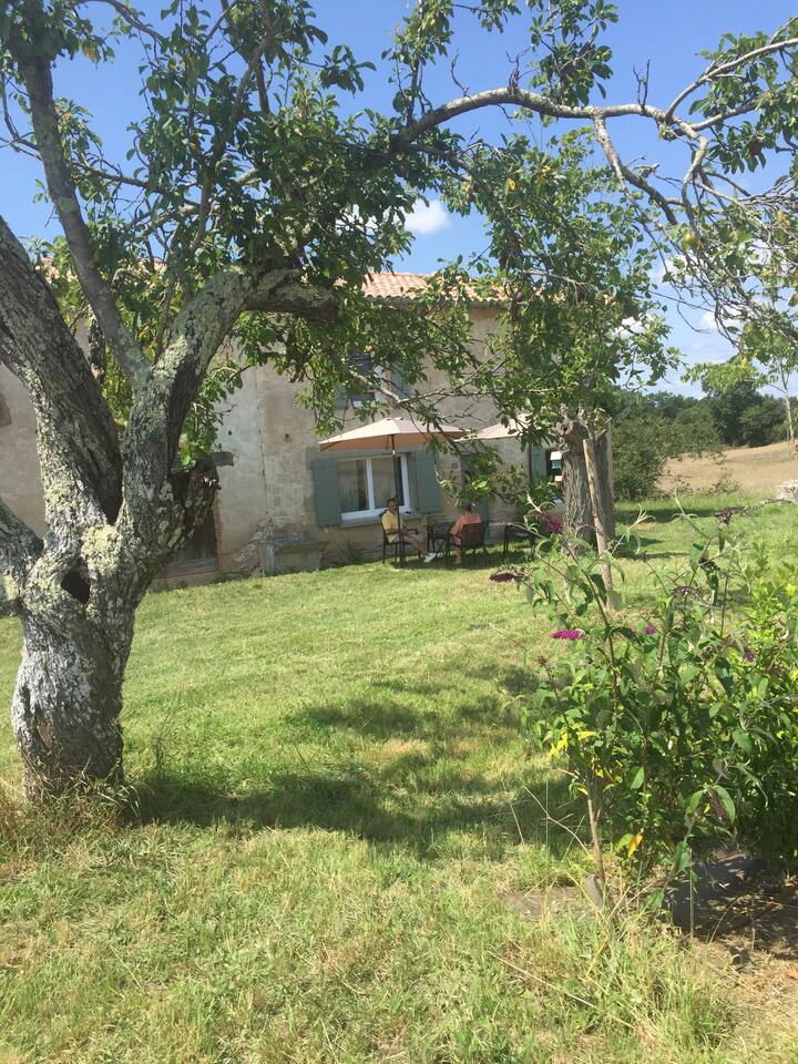 116 Las Combes Entre Bastides, Vignes Et Forêts - Gaillac