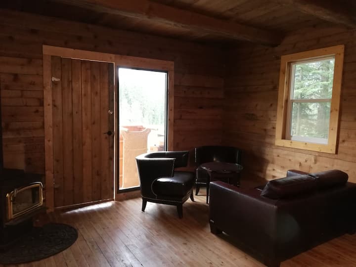 Top 5 PetFriendly Hotels In Lake Louise, Canada Trip101