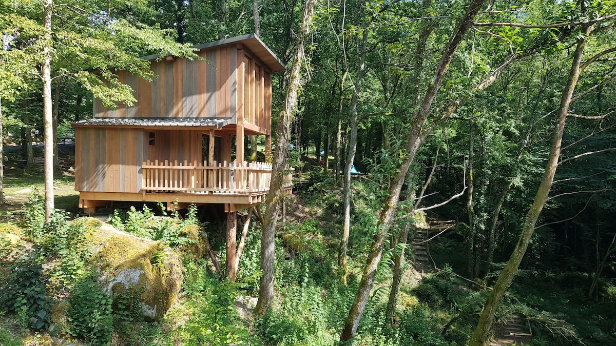 A wooden cabin raised on stilts is surrounded by lush greenery in a forested area. The structure features a wraparound porch with wooden railing, allowing for views of the natural landscape and nearby trees.