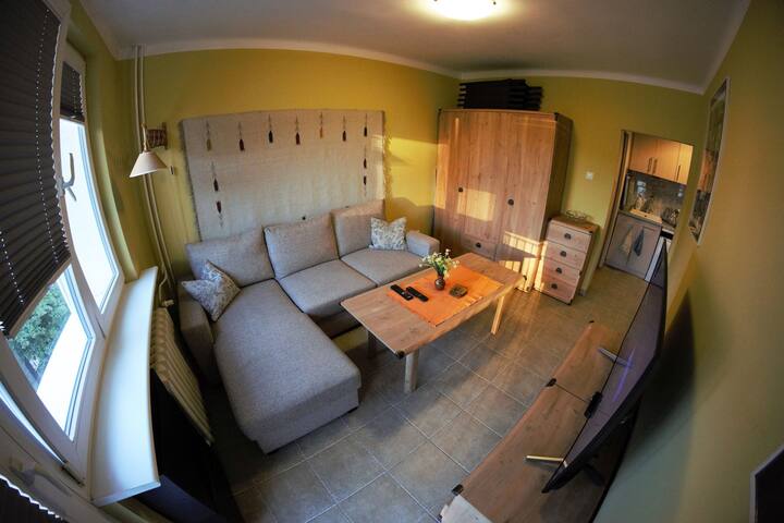 Practical Studio Apartment In City Center Apartments For Rent In Lodz Lodzkie Poland