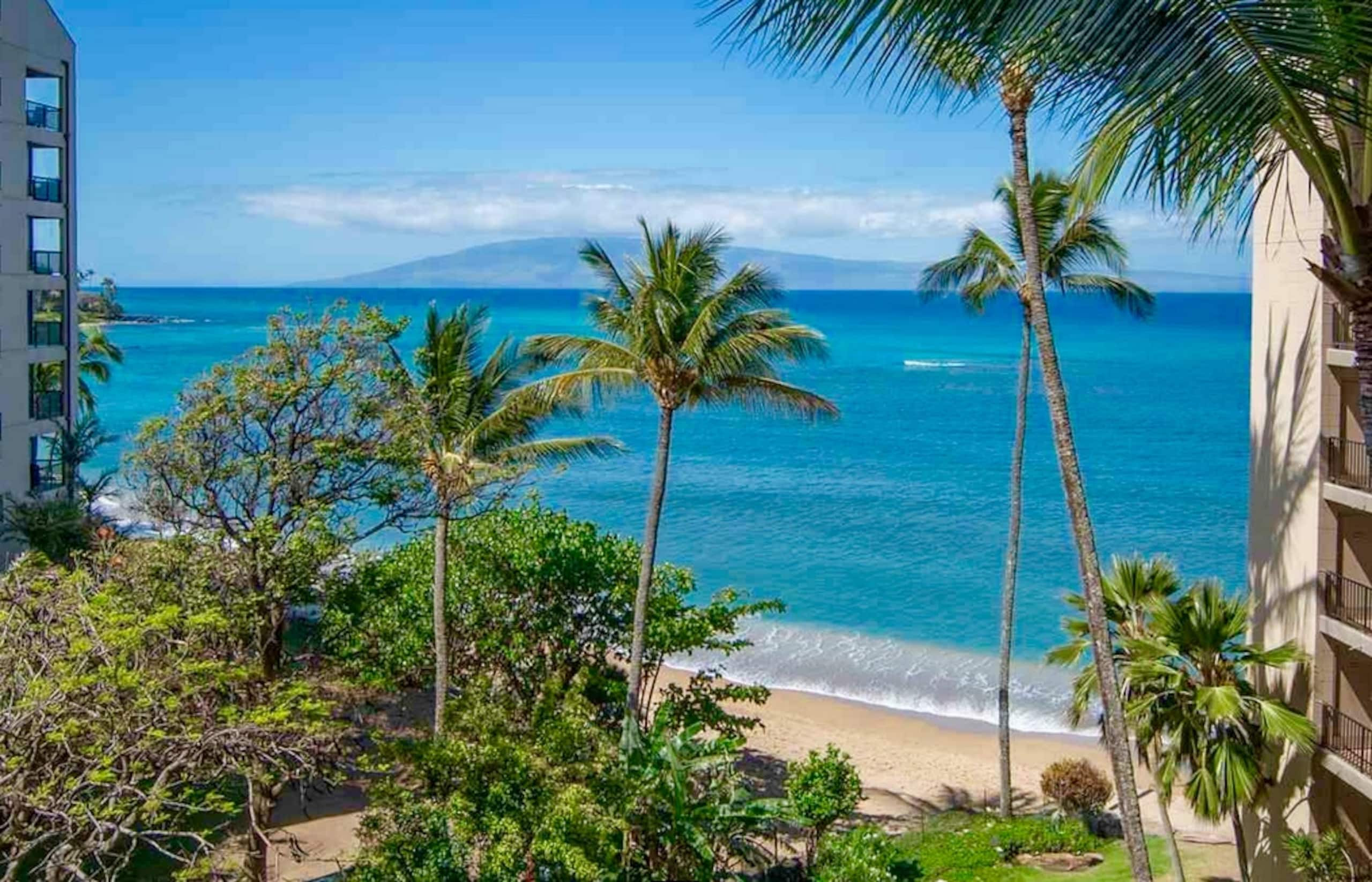Condo in Lahaina · ★4.95 · 1 bedroom · 2 beds · 1 bath - Image 31