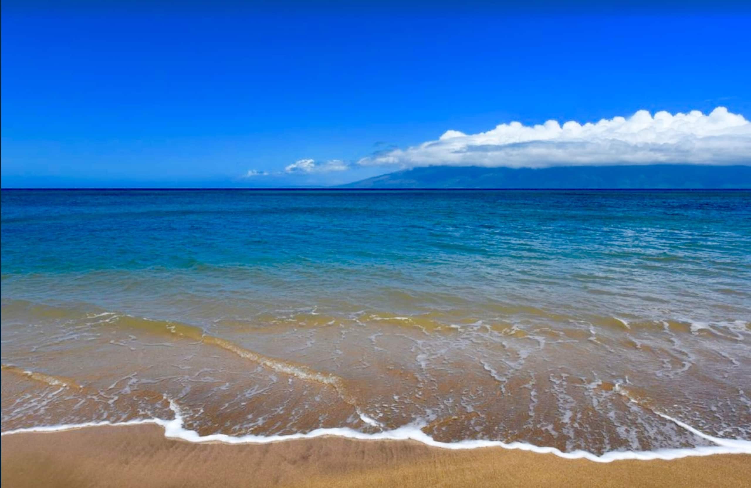 Condo in Lahaina · ★4.95 · 1 bedroom · 2 beds · 1 bath - Image 30
