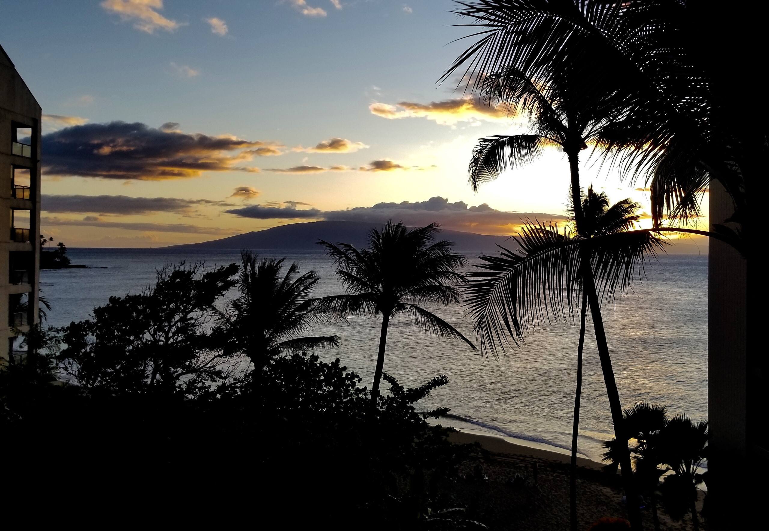 Condo in Lahaina · ★4.95 · 1 bedroom · 2 beds · 1 bath - Image 21