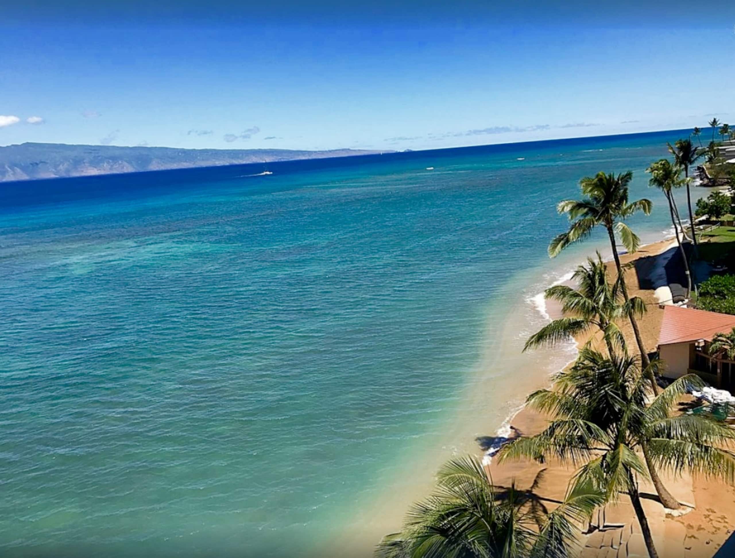 Condo in Lahaina · ★4.95 · 1 bedroom · 2 beds · 1 bath - Image 29