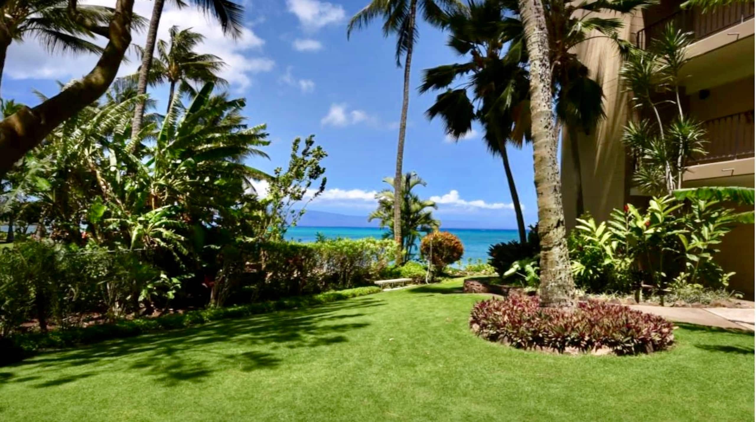 Condo in Lahaina · ★4.95 · 1 bedroom · 2 beds · 1 bath - Image 24