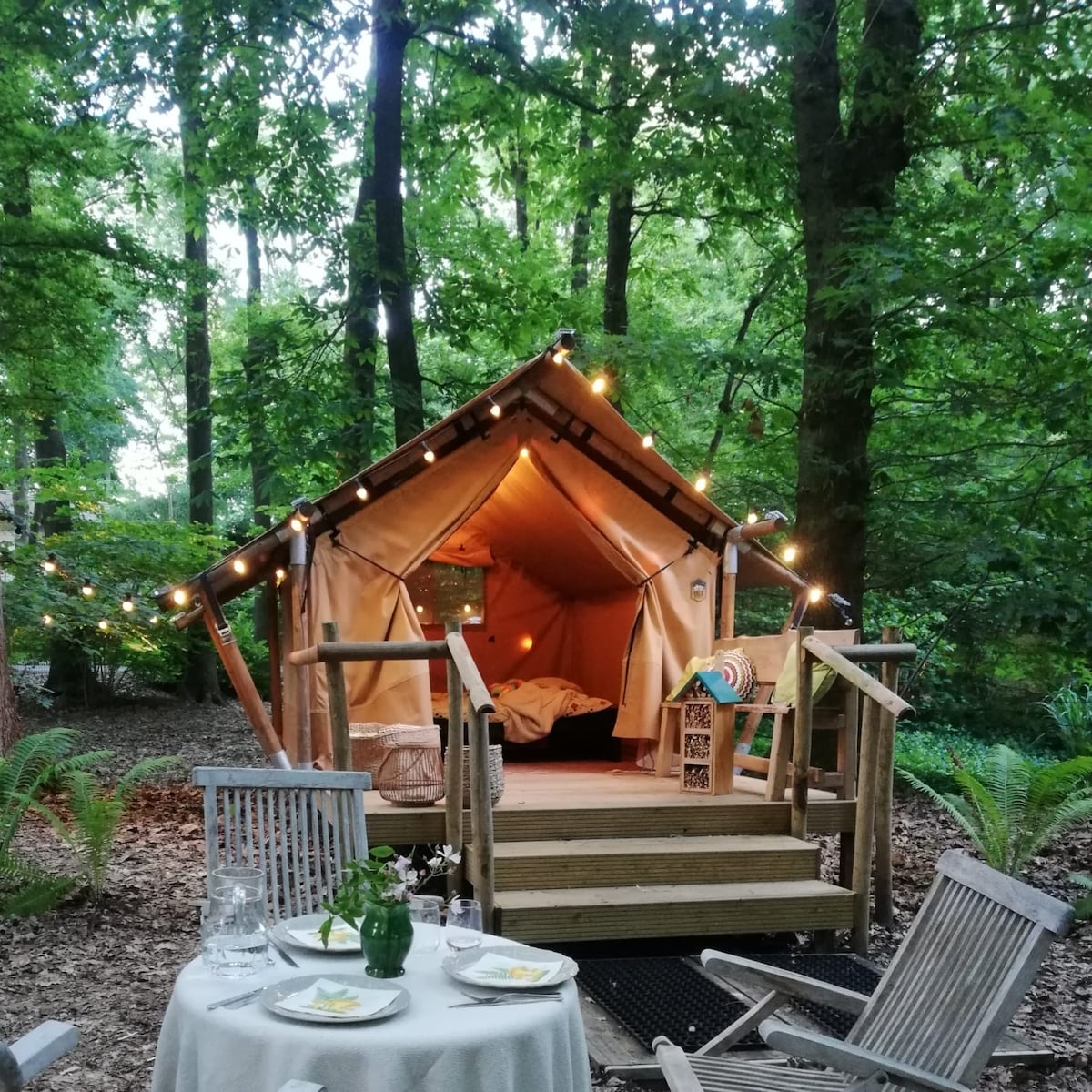 A charming glamping tent is nestled among lush greenery, featuring soft lighting strung overhead for ambiance. A wooden deck leads to the entrance, which opens to a cozy interior. A small table, set with dishes and greenery, complements the natural surroundings.