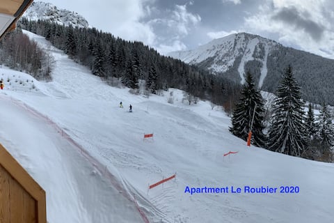 Airbnb performant: Le Roubier, beautiful ski in/out apartment in Oz à Oz