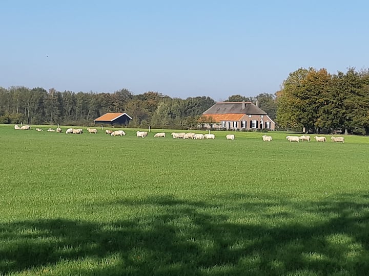Joostink in Vorden in spacious accommodation