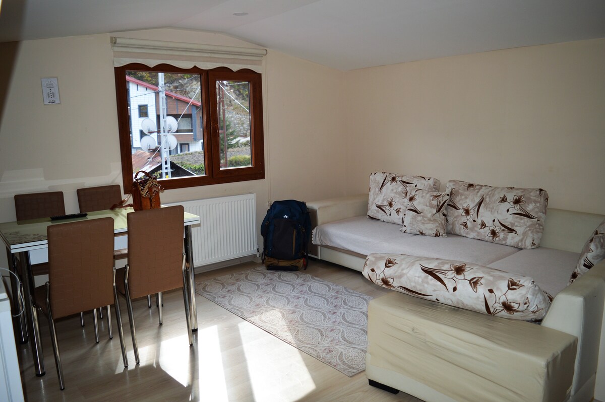 dnevni boravak (dva kauča konvertibilna)
