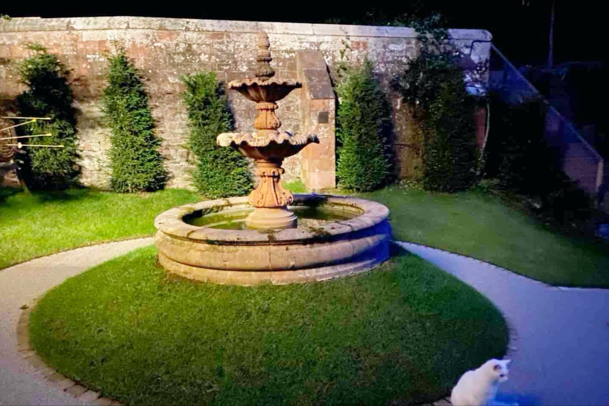 A charming private garden is illuminated softly at night, featuring a stone fountain at its center surrounded by lush greenery. A circular patch of manicured grass frames the fountain, while a well-maintained pathway can be seen leading away from it. A white cat is also visible in the foreground.