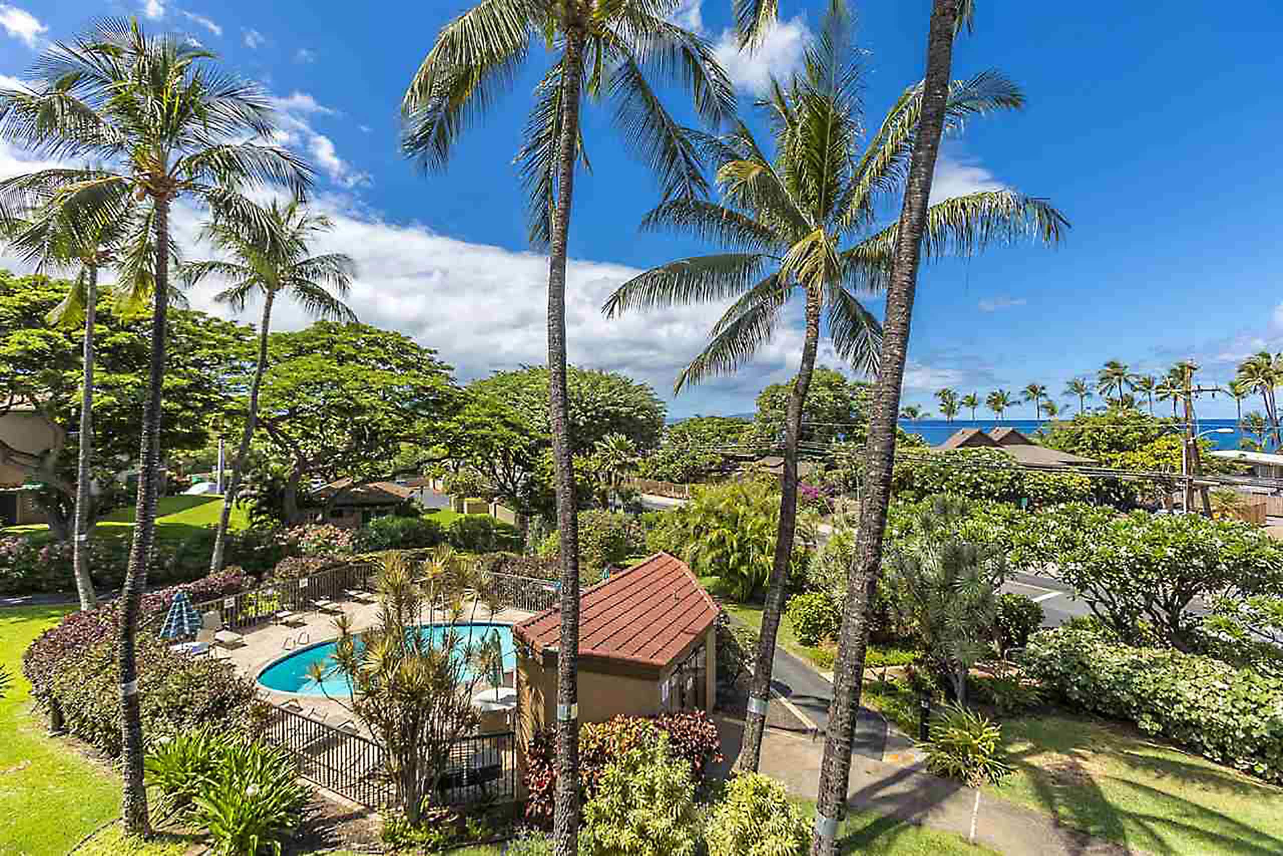 Condo in Kihei · ★4.9 · 1 bedroom · 1 bed · 1 private bath - Image 35