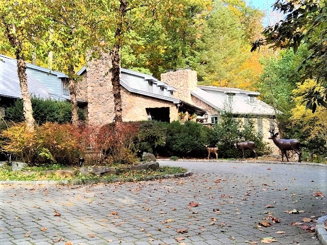 A stone-front home is set among colorful autumn trees, with a winding brick driveway leading to the entrance. Sculptures of deer are positioned in the front yard, adding a natural touch to the serene environment.