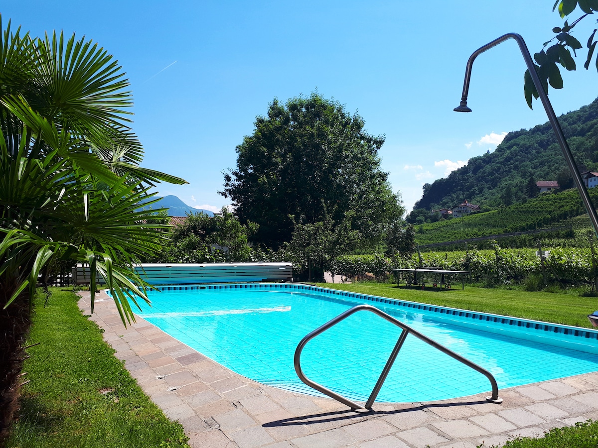 A seasonal outdoor heated pool is surrounded by well-maintained greenery and features a gentle slope entry. Sunlight reflects off the clear water, while a shower stand and lounge chairs are positioned nearby, offering a relaxing atmosphere amidst the landscape.