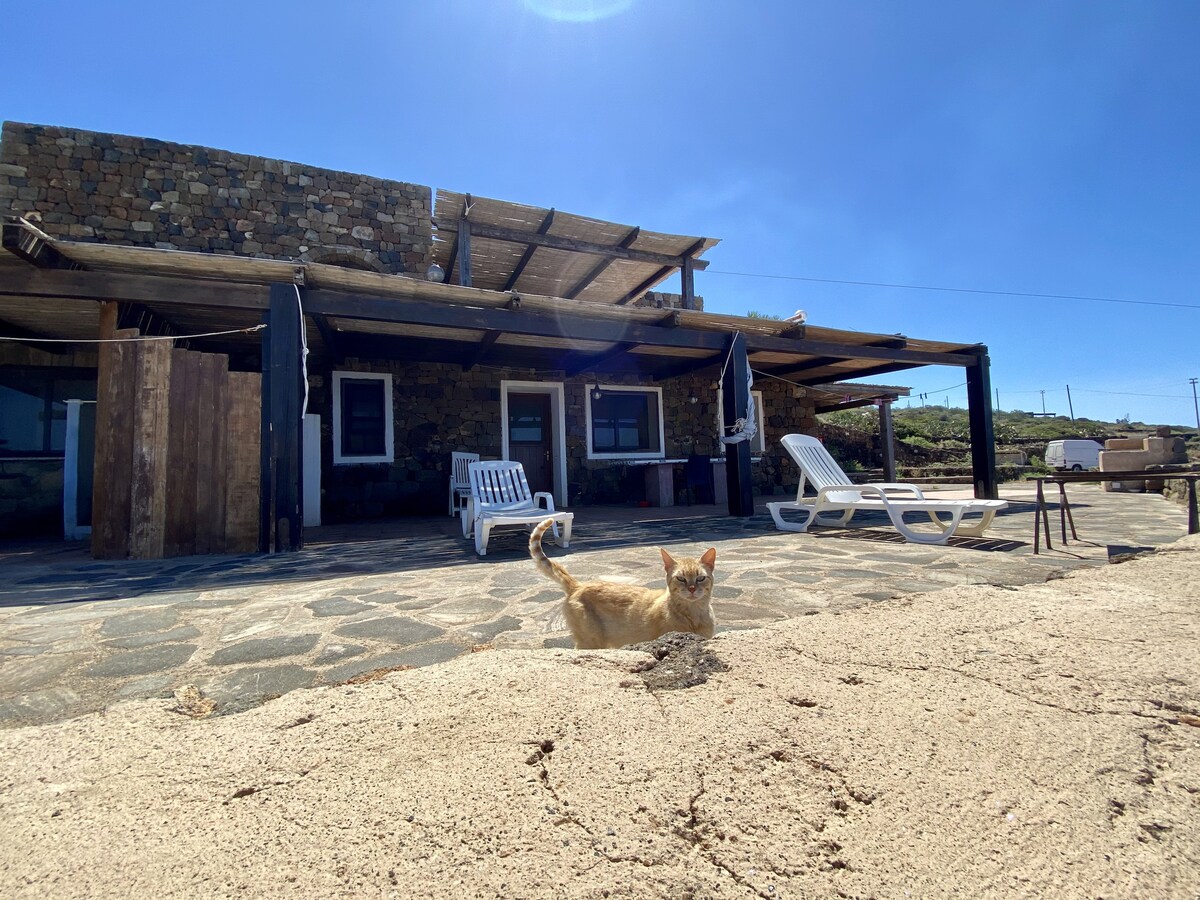 A stone structure is featured, showcasing a wide outdoor terrace with sun loungers positioned on a spacious stone surface. A friendly orange cat lies nearby, adding a comforting presence. The clear blue sky and sunlight provide a bright, warm atmosphere.