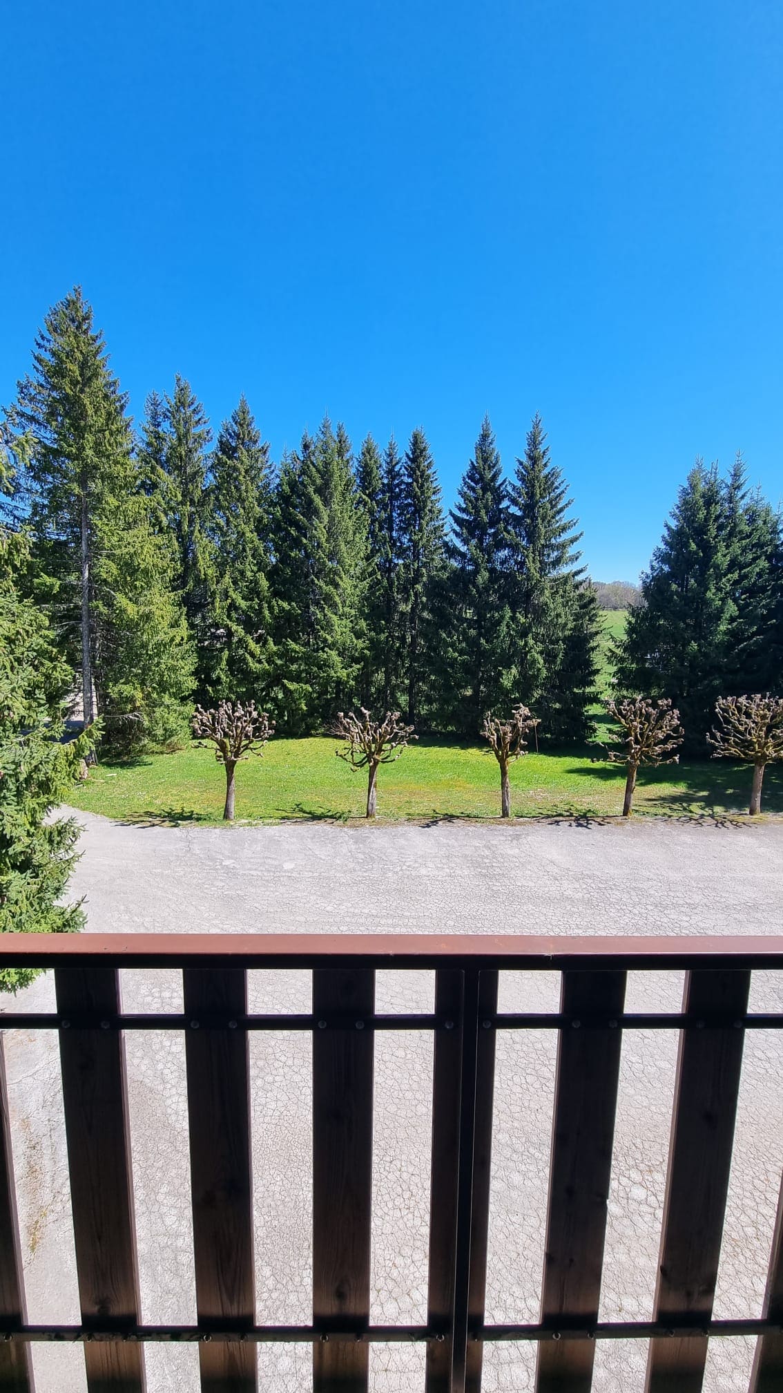 A view from a balcony showcases a lush landscape, featuring tall evergreen trees and neatly trimmed bushes lining a grassy area. Clear blue skies provide a bright backdrop, with a gravel pathway leading through the serene outdoor space.