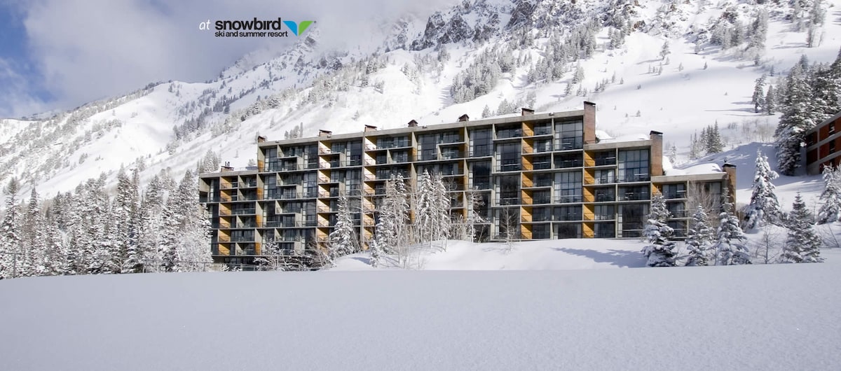 A multi-story lodge is depicted against a backdrop of snow-covered mountains and trees. The building features large windows and a blend of wood and stone accents, with a smooth expanse of snow in the foreground creating a serene winter landscape.