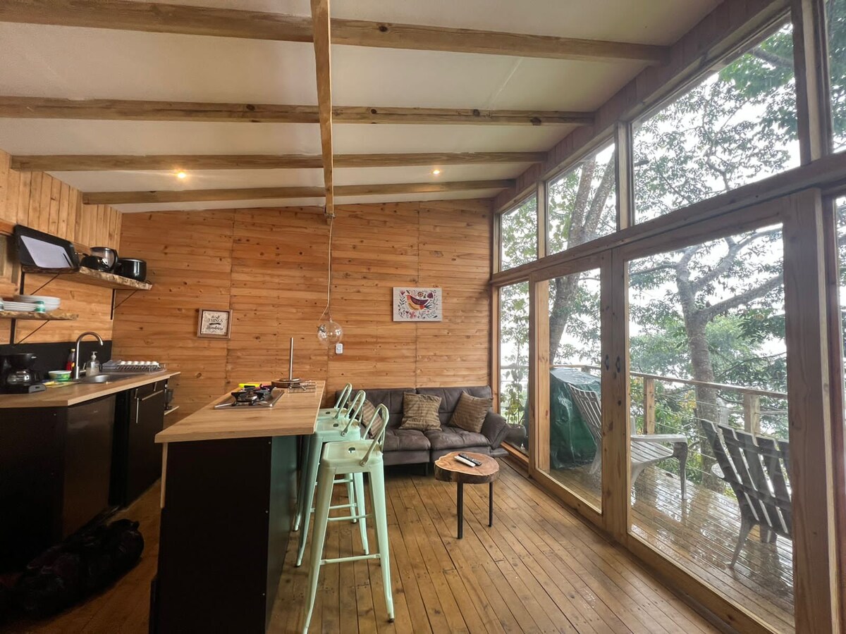 An inviting interior space features wooden walls and ceiling beams. A kitchen area with modern appliances is complemented by a matching dining table. Large windows overlook a natural setting, allowing for plenty of light and views of the surrounding trees.