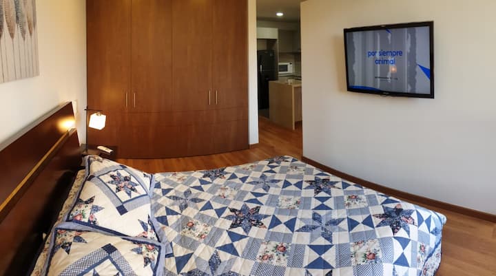 Главна спална соба со брачен кревет (широк 125 - 14 Достапни се чаршафи, ќебиња, чаршафи и перници. Широк плакар. Телевизор 47', сателитска телевизија, Netflix и 10 музички канали. 