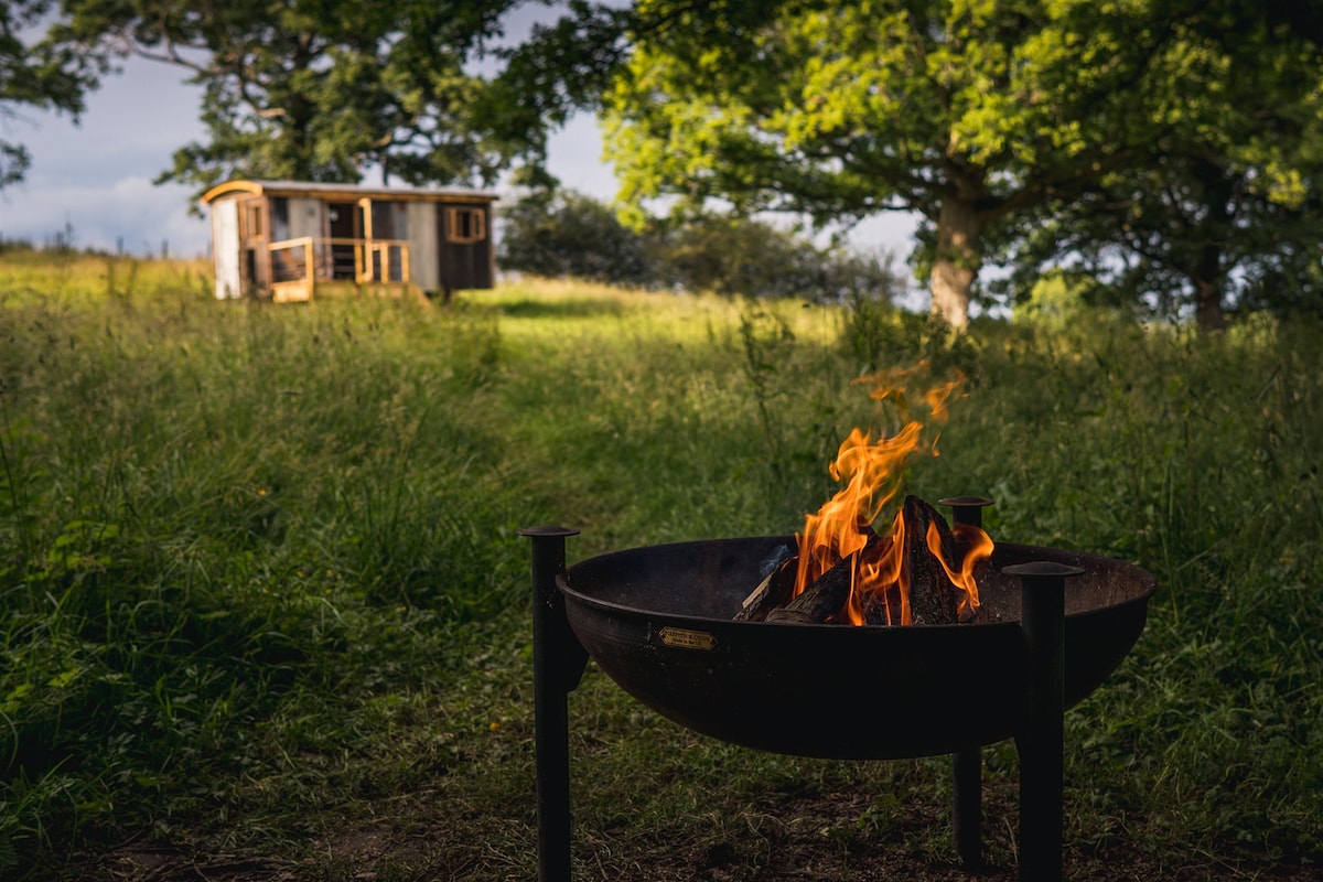 A firepit sits in the foreground with flames dancing above a bed of logs. In the background, a shepherd's hut is nestled within the lush green woodland, providing a serene setting surrounded by trees.