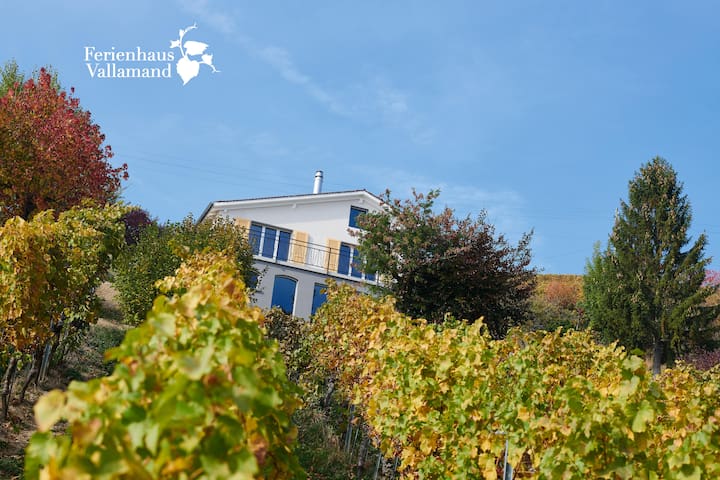 Traumhaftes Ferienhaus mit See- und Alpenblick