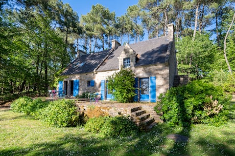 The calm of the forest near Auray and the beaches