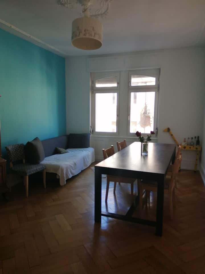 Charmant F4 / Schöne Altbauwohnung - Strasburgo