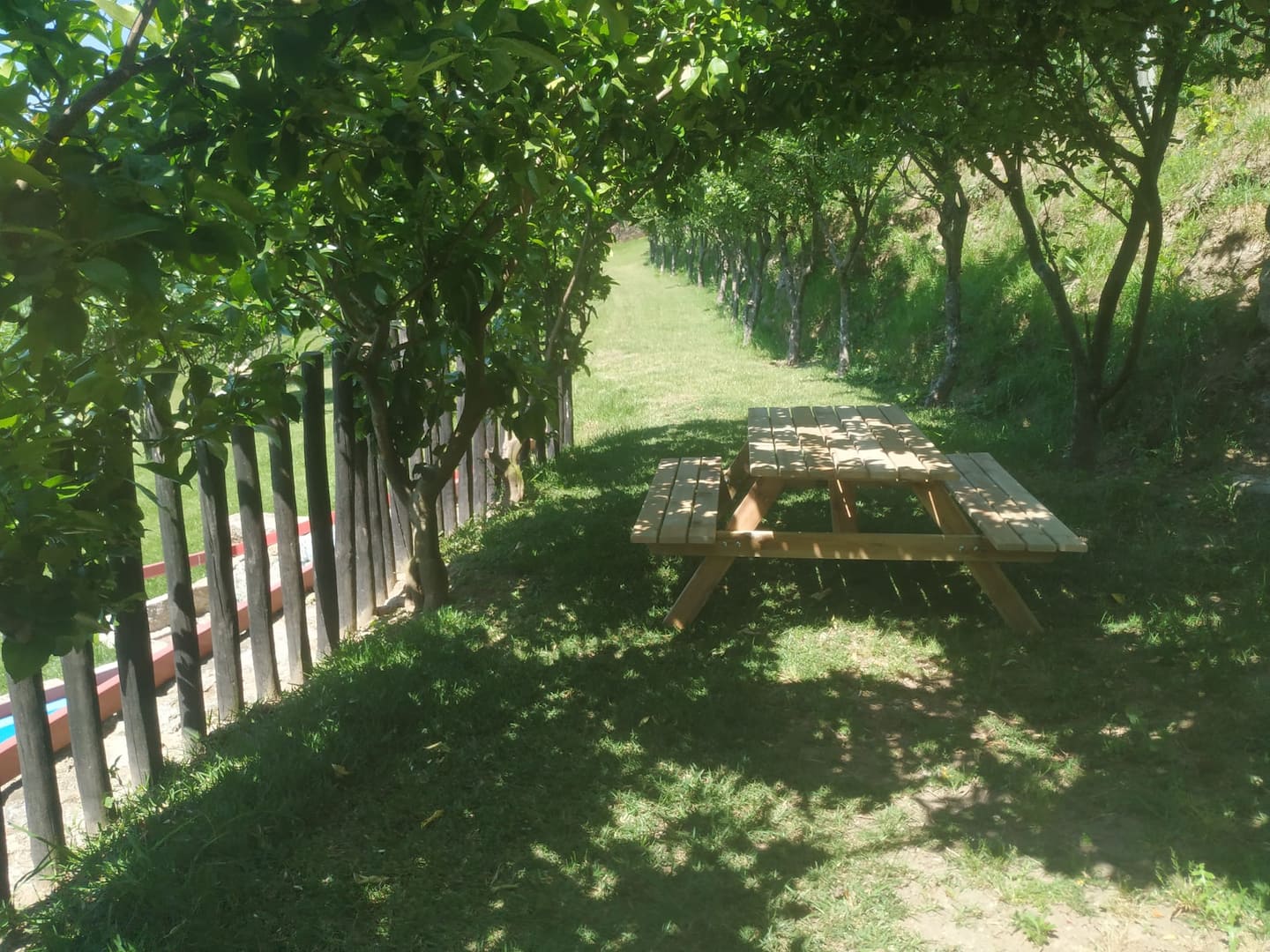 Espaço exterior Quinta dos Campos