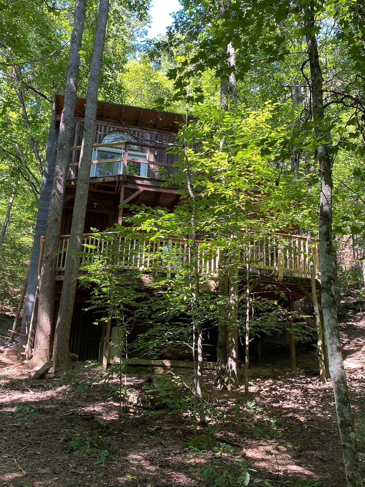 A rustic tiny cabin is nestled among tall trees, elevated on a wooden deck. The structure is constructed with reclaimed materials, featuring large windows that allow natural light to enter. Lush greenery surrounds the cabin, enhancing its natural setting.