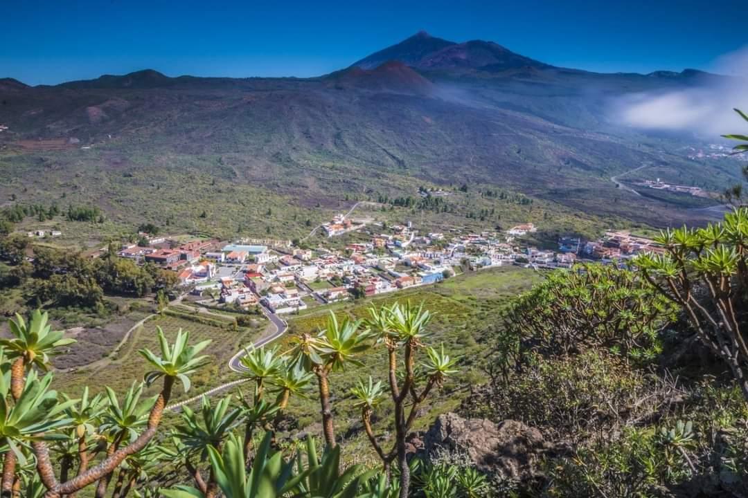 A panoramic view showcases the village of Santiago del Teide set amidst lush greenery, with the majestic Volcán Teide rising in the background. The landscape features rolling hills and scattered homes below, framed by vibrant plants in the foreground.