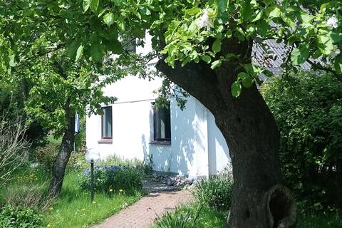 "Böttcher 5"  Entschleunigung in Knicklandschaft