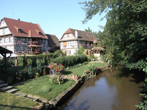 Alsatian farmhouse/Alsace Apartment