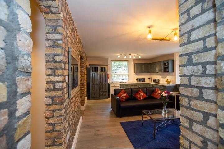 Ballsbridge Superb 3 Bedroom Lodge Duplex gallery image 3