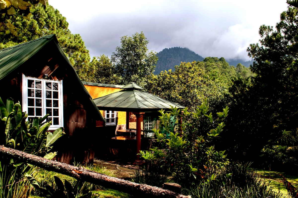 A rustic cabin is nestled among lush greenery, with a sloped green roof and vibrant yellow walls. Large windows reflect the surrounding forest and mountains, providing a serene backdrop. A covered patio area extends from the cabin, blending into the natural landscape.
