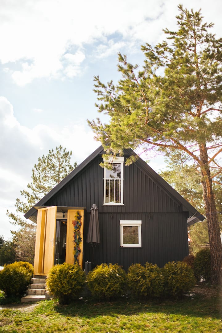 𝐌𝐈𝐒𝐅𝐈𝐓 - Unique, modern home with great view