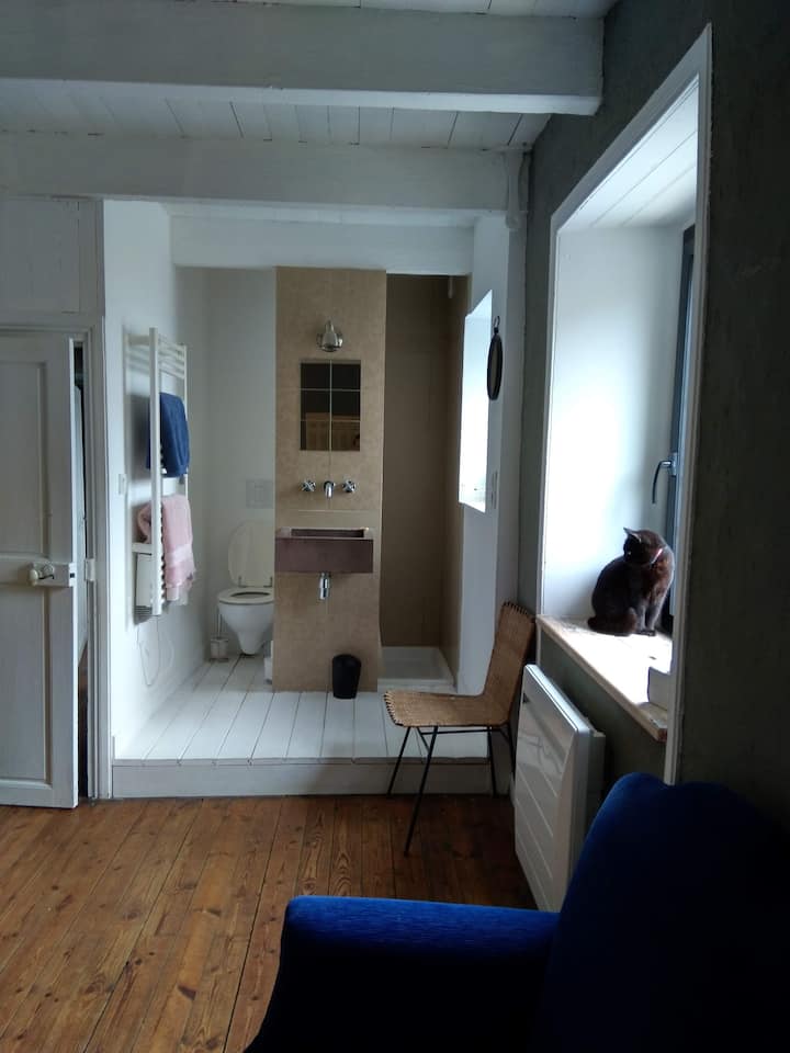 Cuarto de baño de la gran habitación.