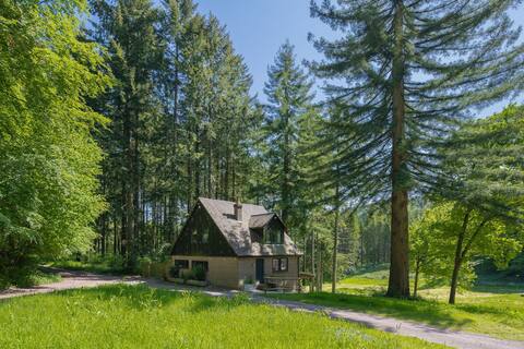 Woodland Cabin with Sauna in the Heart of Dorset