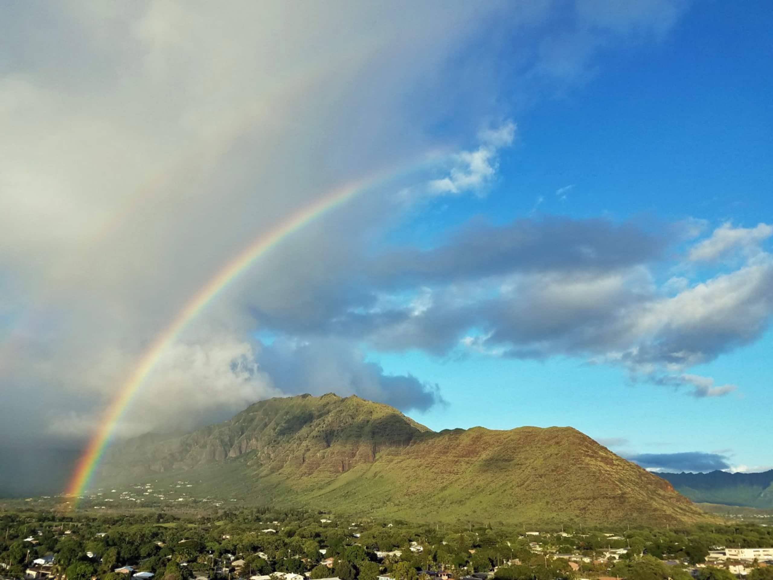 Condo in Waianae · ★4.97 · 1 bedroom · 1 bed · 1 private bath - Image 8