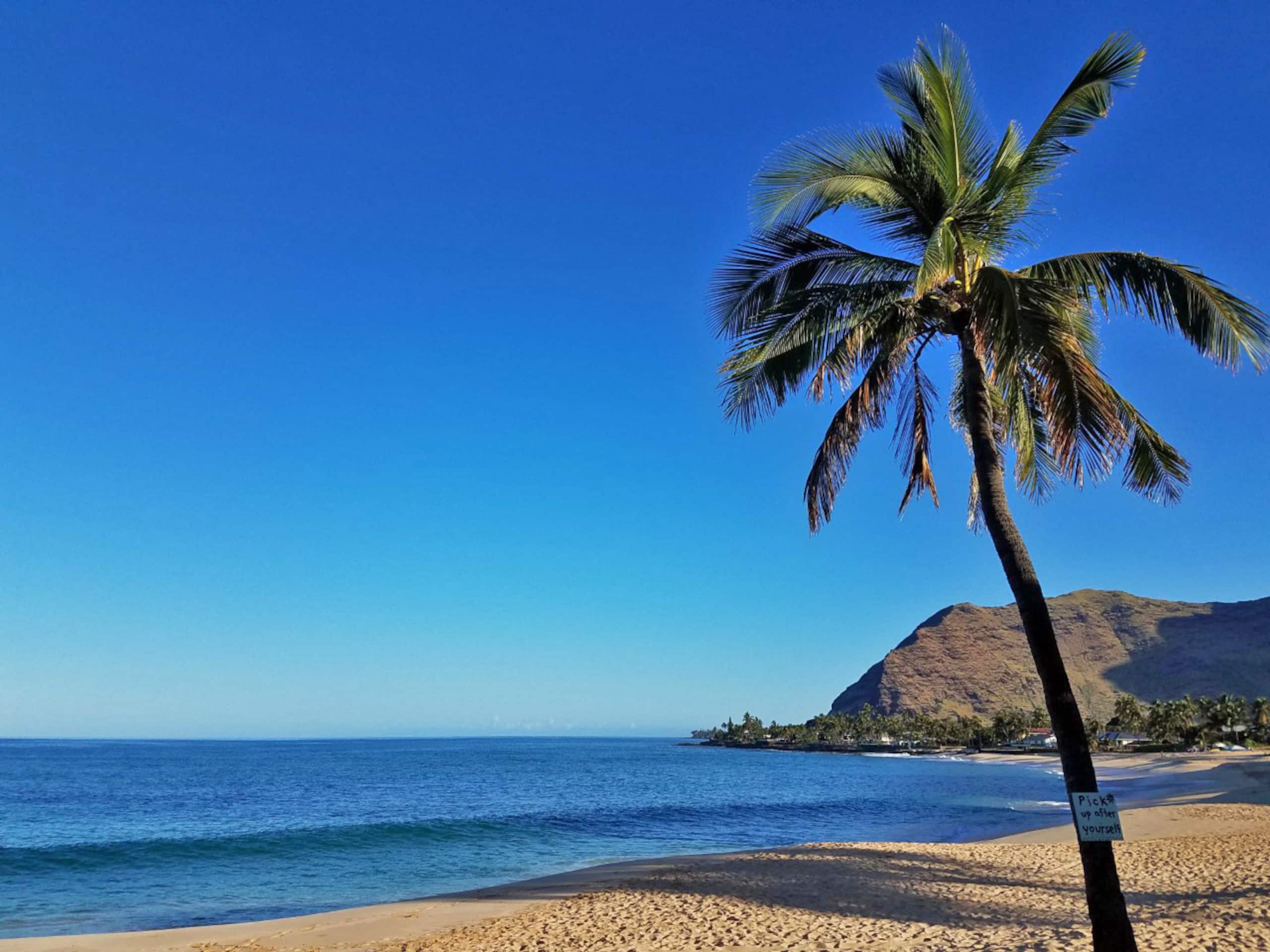 Condo in Waianae · ★4.97 · 1 bedroom · 1 bed · 1 private bath - Image 11