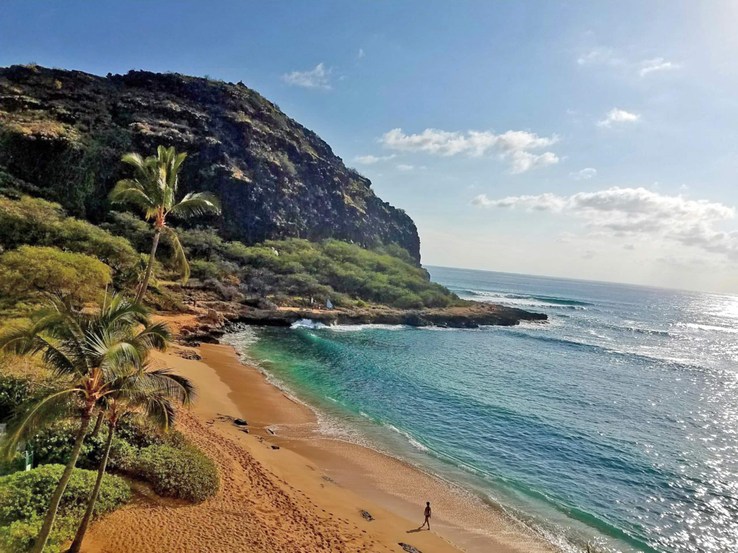 Condo in Waianae · ★4.97 · 1 bedroom · 1 bed · 1 private bath - Image 46