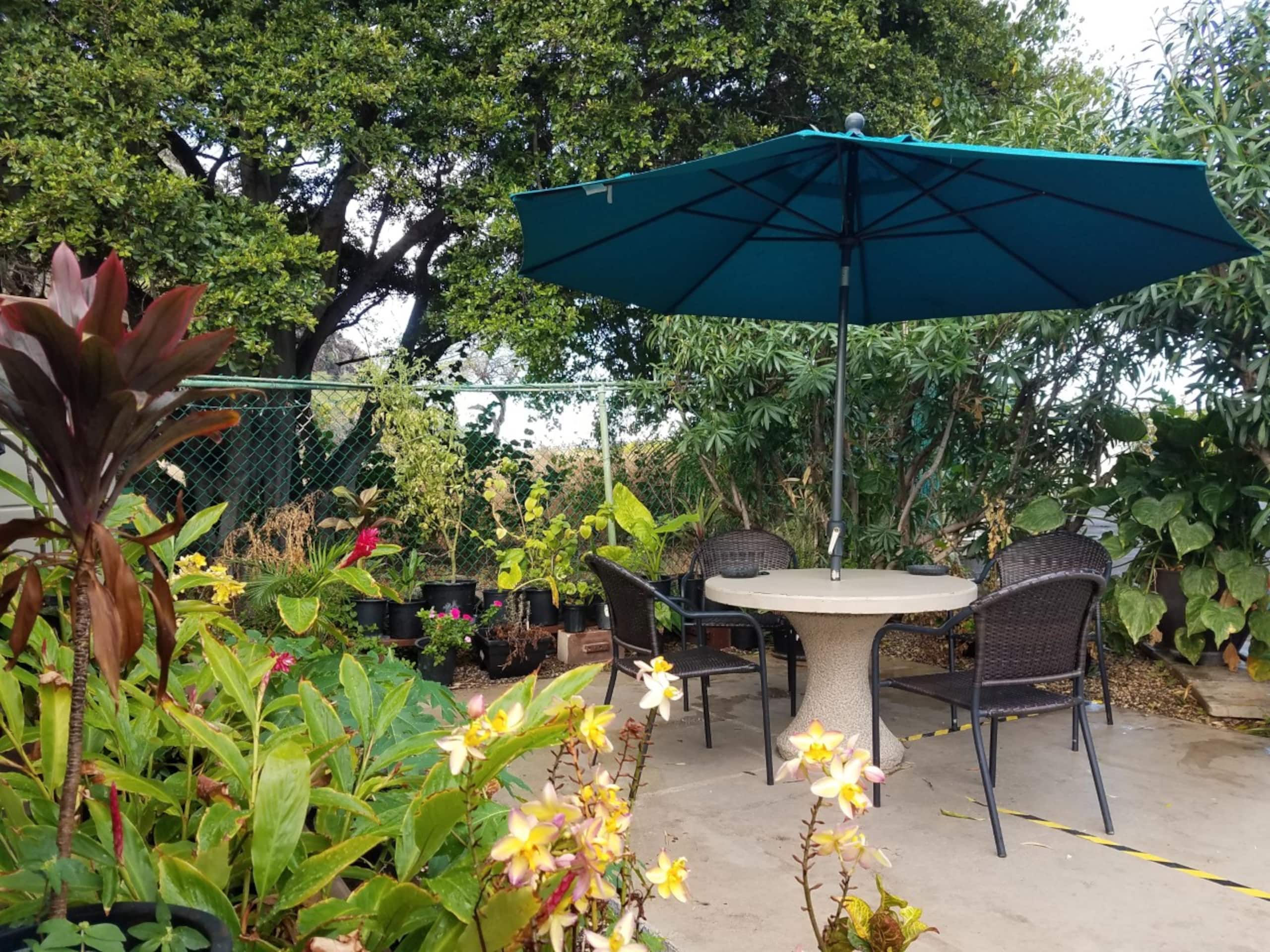 Condo in Waianae · ★4.97 · 1 bedroom · 1 bed · 1 private bath - Image 43