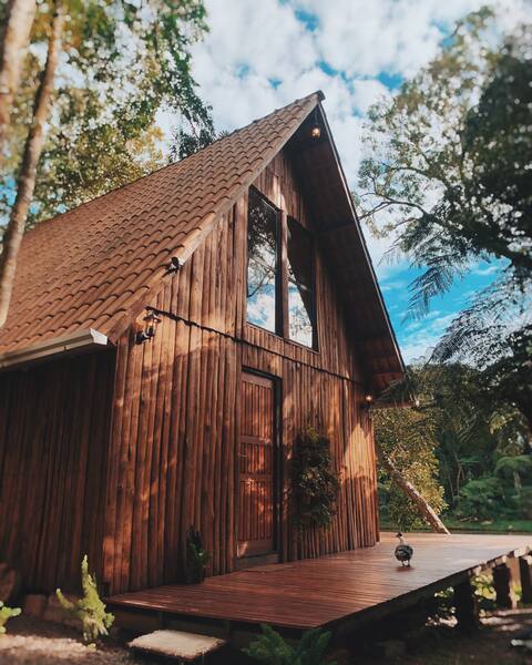 Cozy cabin in the middle of nature
