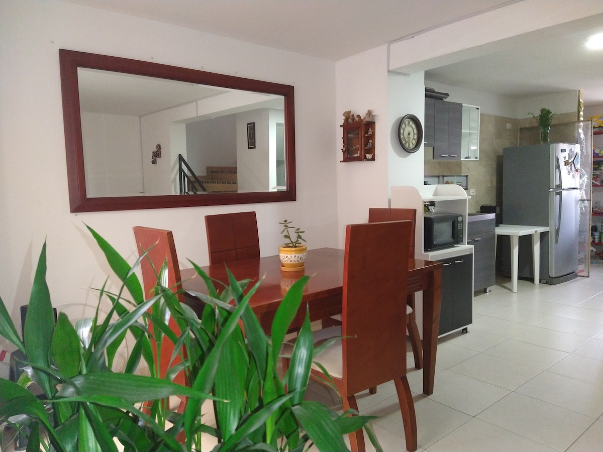 A dining area is featured with a wooden table surrounded by four matching chairs. A large mirror reflects the space, adding depth. Neatly positioned potted plants provide a touch of greenery. The kitchen area is visible, equipped with modern appliances.