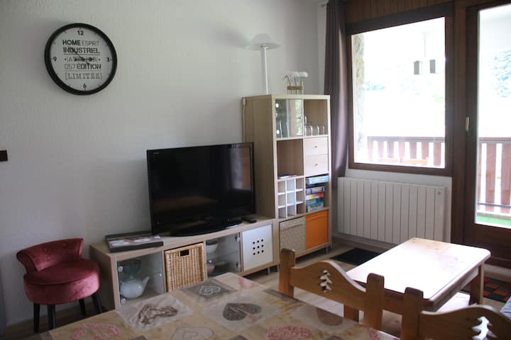 Location Appartement éTé Comme Hiver à Praz De Lys - Taninges
