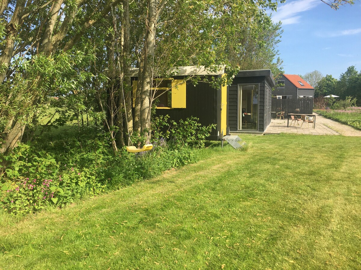 A grassy outdoor area is visible, with lush green vegetation framing two wooden buildings. One building features yellow accents and a simple design, while the other has a modern look. A swing hangs from a nearby tree, inviting relaxation in a tranquil setting.