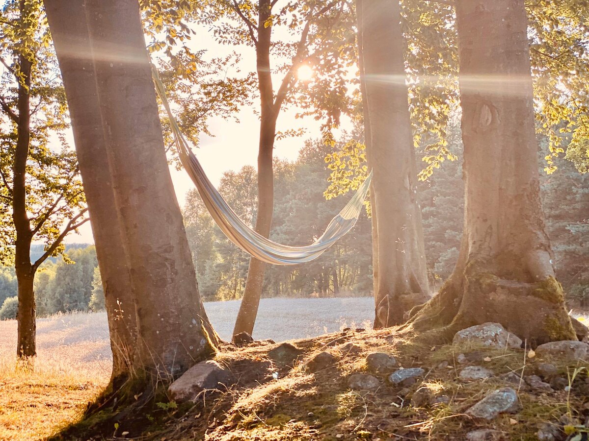 A hammock is suspended between two trees, softly illuminated by the golden light of the setting sun. The surrounding area features lush greenery and gentle hills, inviting relaxation in a serene outdoor setting.