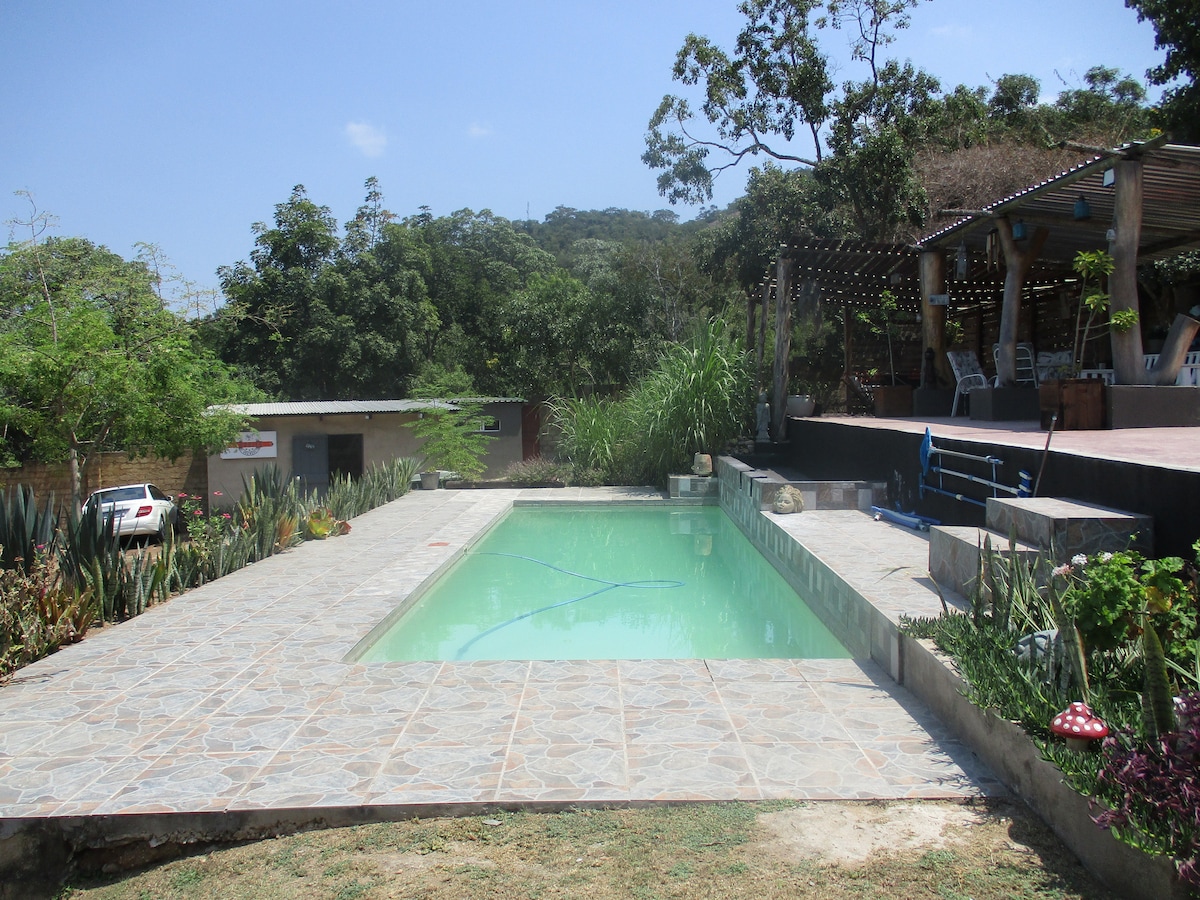 A tranquil pool area is surrounded by lush greenery and natural landscaping. The clear water is set against a backdrop of trees and includes a sunbathing area with stone tiles. A covered patio can be seen in the distance, providing shaded seating options.