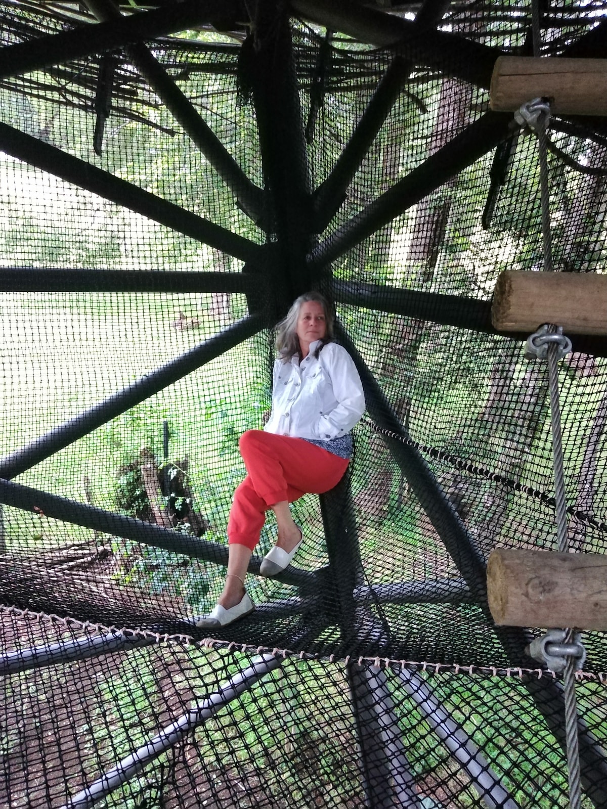 An elevated netted area is surrounded by supporting beams and trees, creating a unique space for relaxation. The greenery of the forest is visible below, allowing a sense of connection with nature from this vantage point.