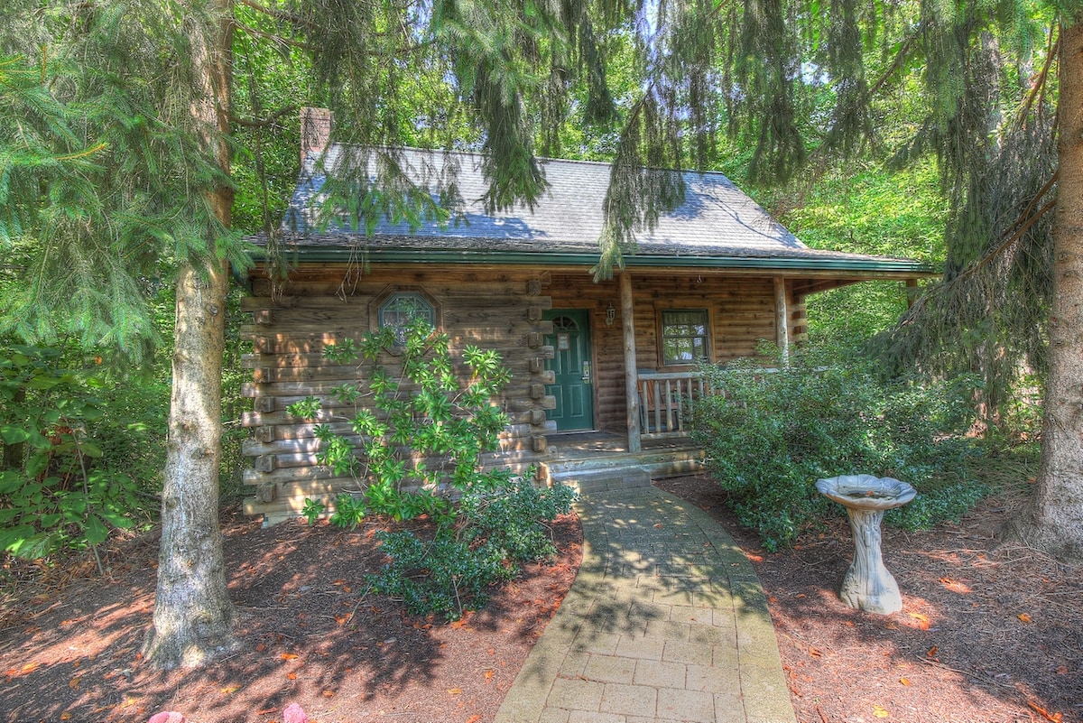 A charming log cabin is framed by tall pine trees, with a stone pathway leading to a welcoming front porch. Lush greenery surrounds the entrance, creating a natural, serene setting. The cabin features a pitched roof and a decorative circular design on the wall.