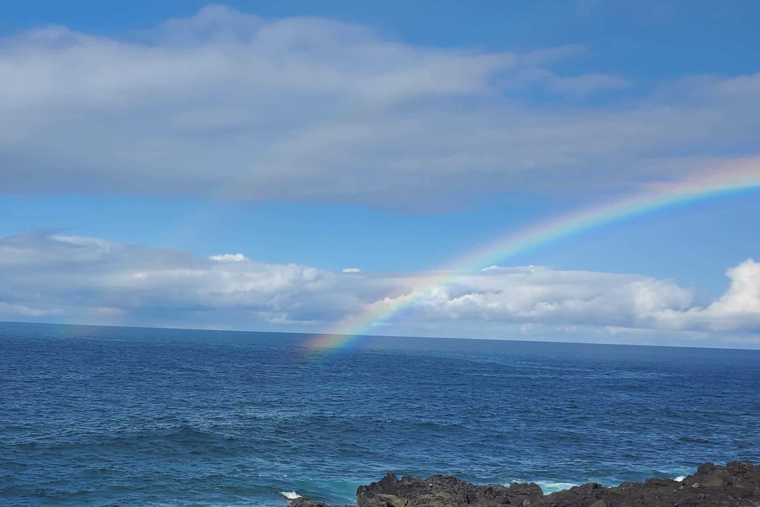 Oceanfront studio see whales and dolphins - Photo 20